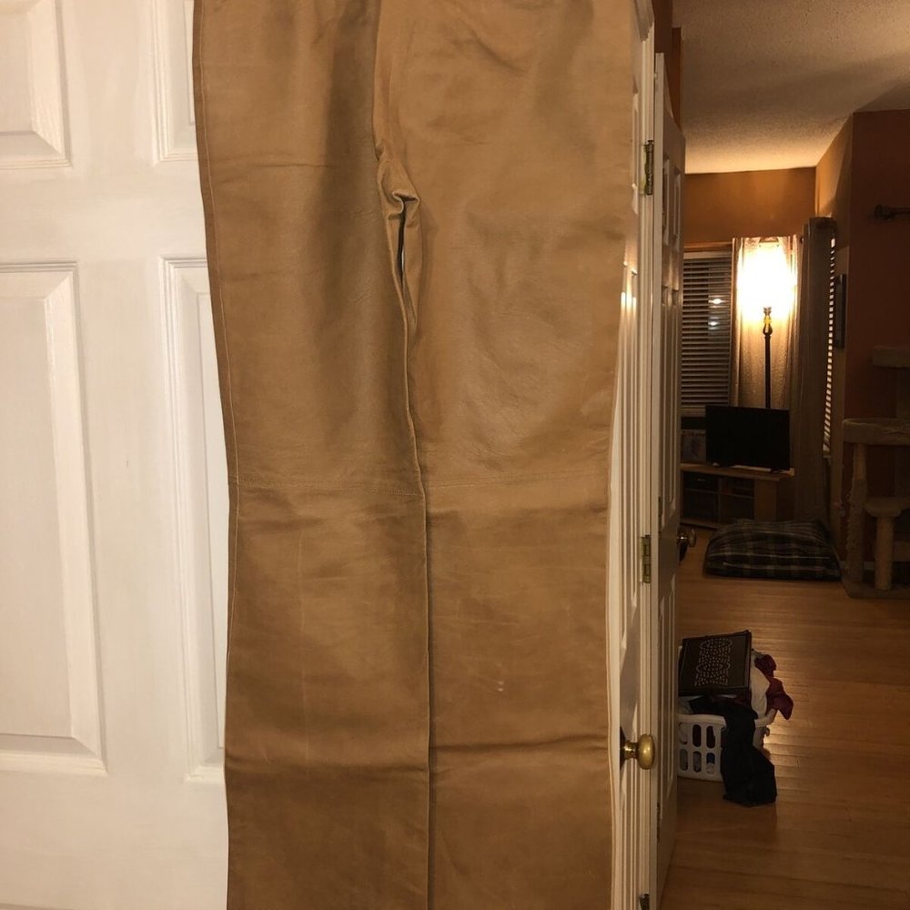 Max Studio Brown Leather Pants